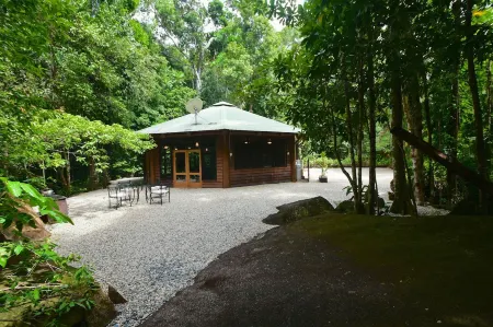 Daintree Cascades Отели в г. Дайнтри