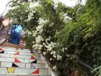 Maison d'Hotes Ait Bou Izryane Hotels in Afourer