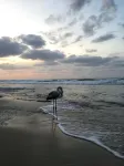 Hotel Bed Sandalia فنادق في Trinita dʼAgultu