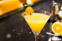 Garden City Hotel - bar