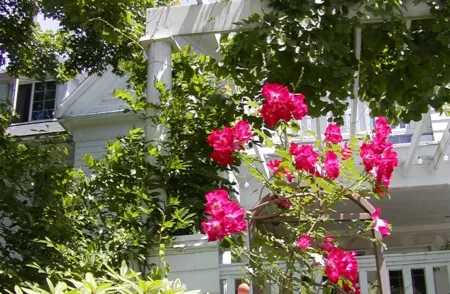 The Inn on the Horse Farm Отели рядом с достопримечательностью «Фели Филд»