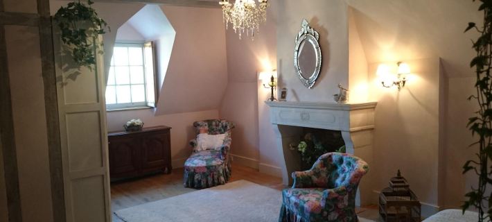 Chateau des Roises Hotels in Aube