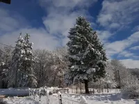 Natura Plitvice Lakes Hotels in Jezerce