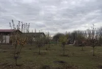 Salaš Farma 47-Miris Dunja Các khách sạn ở 