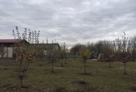 Salaš Farma 47-Miris Dunja