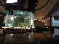 Hotel Maria Victoria Xalapa - bar