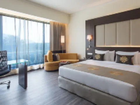 邁索爾藍標廣場麗笙酒店 邁索爾酒店