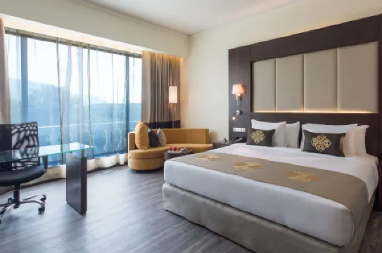 Radisson Blu Plaza Hotel Mysore