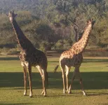 Thandile Country Lodge Hotels in Warmbad