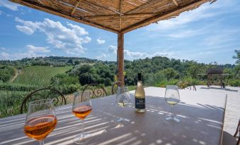 Nocellara Apartment, Pool, Nature, View , Montaione, Toscana