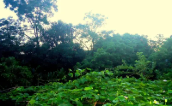 Green Space Homestay