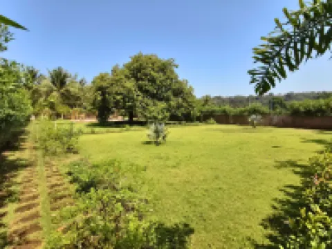 Konkan Pearl Suites Hotels in Malvan