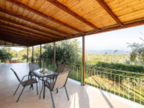 Aelia Guesthouse - Olive Grove Retreat Hotels in Petalidi