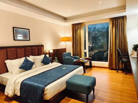 Clarion Hotel de Renees Gangtok ( 5km from MG Marg)