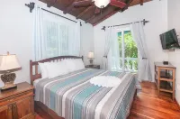 Coral Vista #5
