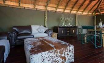 Nkwe Safari Lodge