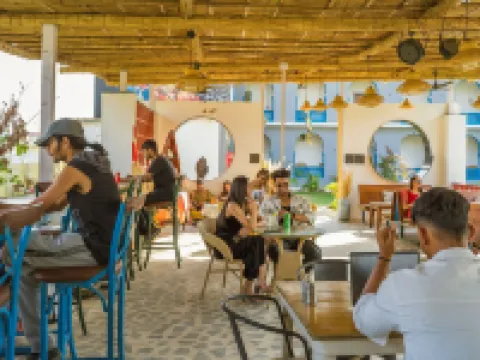 Moustache Pushkar Hotels in Pushkar