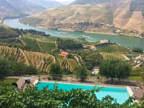 Feel Discovery Alvim's Douro -  Holiday Villas