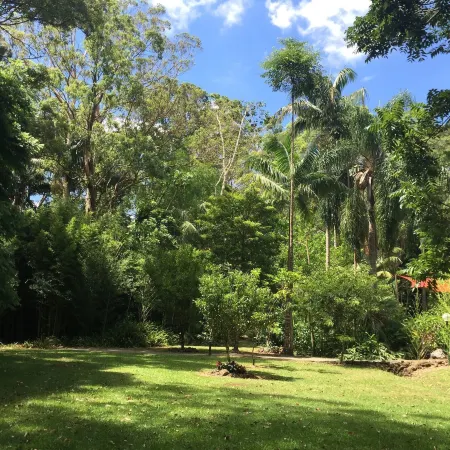 Songbirds Rainforest Retreat