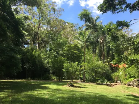 Songbirds Rainforest Retreat Отели в г. Вонгаваллан