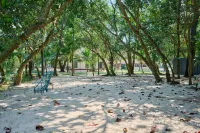 Seclude Kerala, Marari Sands