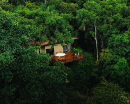 Maze Lodge