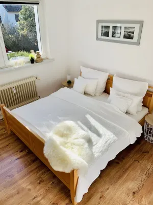 Cozy apartment near the university: with double bed, kitchenette and bathroom