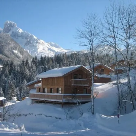 Stylish and cozy: Austrian wooden chalet for 8, only 300m from slopes