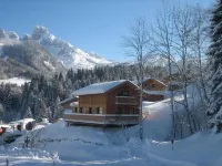Stylish and cozy: Austrian wooden chalet for 8, only 300m from slopes