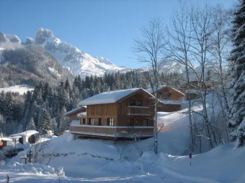 Stylish and cozy: Austrian wooden chalet for 8, only 300m from slopes