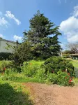 Maison de Plein Pied, Dans un Jardin Arboré, au Calme, en Plein Centre-ville