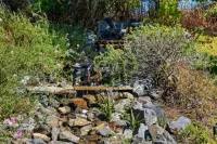 Central Location, Spectacular Views, Pool, Hottub Hotels near Grape Day Park