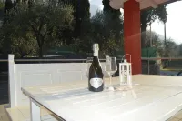 Quiet holidays, in an area surrounded by greenery, 100 mt from the center