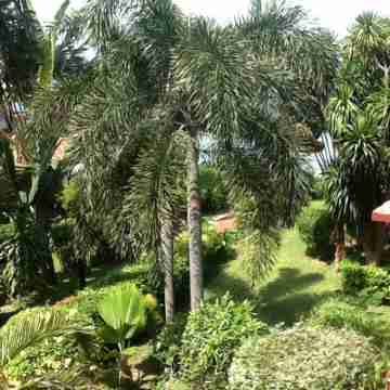 Traditional Thai Style Beach Villa Hotel Exterior