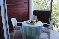 Charming T1bis facing the sea