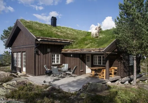 Modern log cabin on Blefjell Hotels in Flesberg Municipality