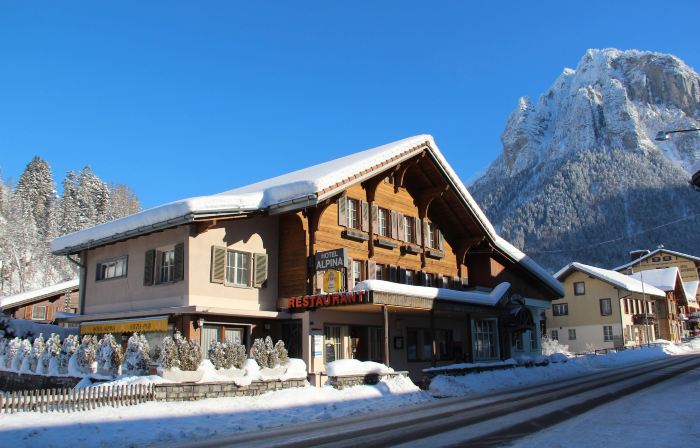 Hotel-Restaurant Alpina
