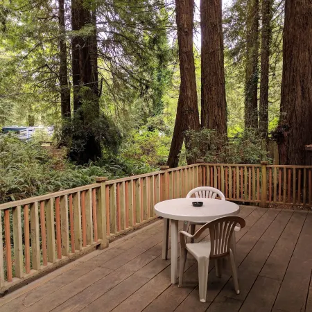 Emerald Forest Cabins