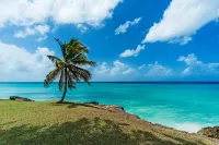 Breezy Haven in Barbados, 4 minutes from Crane Beach! Hotels in Belair