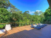 Chambers Wildlife Rainforest Lodges Hotels in Malanda