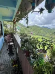 Banaue Greenfield Inn and Restaurant Hotels in Banaue