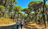 Kay Loft Hotels in Kfar Houneh