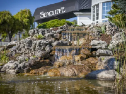 Seacliffe Inn Hotels in Leamington