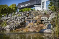 Seacliffe Inn Hotel a Kingsville