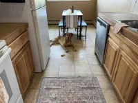 Newly Updated- Top Floor- Bona Nook