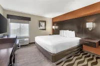 Best Western Plus Lees Summit Hotel  Suites Hotels in Lee's Summit