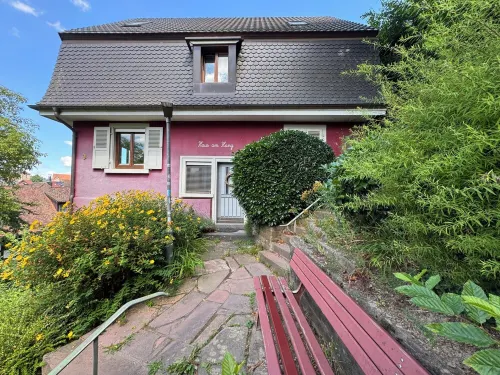 Romantic gem, Black Forest & Europapark Hotels in Gengenbach