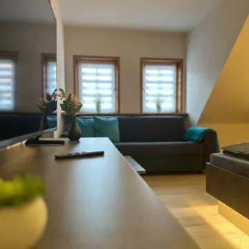 HarzFokus - Brightnest - stylish vacation apartment - in the center - old town