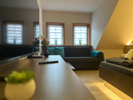 HarzFokus - Brightnest - stylish vacation apartment - in the center - old town