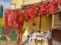 THE BEAUTIFUL VIEW Hotels in Collazzone